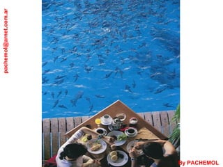 [email_address] By PACHEMOL 