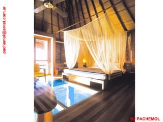 [email_address] By PACHEMOL 