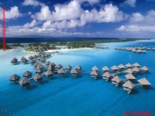 [email_address] By PACHEMOL 