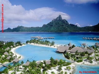 [email_address] By PACHEMOL 