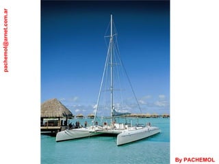 [email_address] By PACHEMOL 