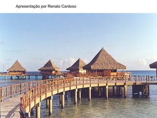 Apresentação por Renato Cardoso                                                                                  