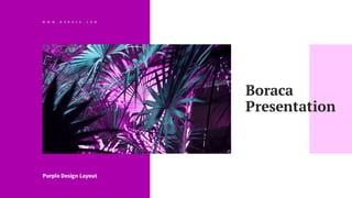 W W W . B O R A C A . C O M
Purple Design Layout
Boraca
Presentation
 