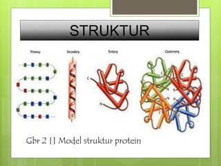STRUKTUR 
Gbr 2 [] Model struktur protein 
 