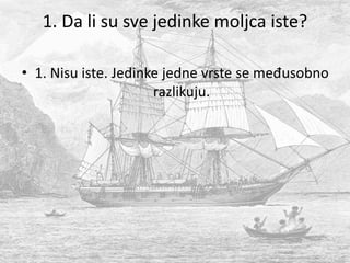 1. Da li su sve jedinke moljca iste?
• 1. Nisu iste. Jedinke jedne vrste se međusobno
razlikuju.
 