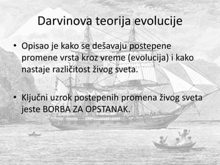 Darvinova teorija evolucije
• Opisao je kako se dešavaju postepene
promene vrsta kroz vreme (evolucija) i kako
nastaje različitost živog sveta.
• Ključni uzrok postepenih promena živog sveta
jeste BORBA ZA OPSTANAK.
 