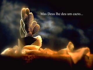 Mas Deus lhe deu um cacto...

 