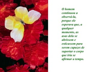 O homem
continuou a
observá-la,
porque ele
esperava que, a
qualquer
momento, as
asas dela se
abrissem e
esticassem para
serem capazes de
suportar o corpo
que iria se
afirmar a tempo.
 