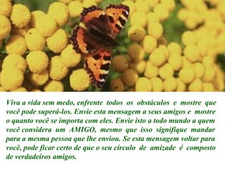 Viva a vida sem medo, enfrente  todos  os  obstáculos  e  mostre  que você pode superá-los. Envie esta mensagem a seus amigos e  mostre o quanto você se importa com eles. Envie isto a todo mundo a quem você considera  um  AMIGO,  mesmo  que  isso  signifique  mandar para a mesma pessoa que lhe enviou. Se esta mensagem voltar para você, pode ficar certo de que o seu círculo  de  amizade  é  composto de verdadeiros amigos. 