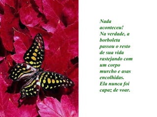 Nada aconteceu! Na verdade, a borboleta passou o resto de sua vida rastejando com um corpo murcho e asas encolhidas. Ela nunca foi capaz de voar.   
