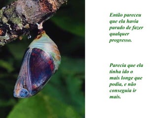 Então pareceu que ela havia parado de fazer qualquer progresso. Parecia que ela tinha ido o mais longe que podia, e não conseguia ir mais. 