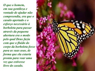 O que o homem, em sua gentileza e  vontade de ajudar não compreendia, era que o casulo apertado e o esforço necessário à borboleta para passar através da pequena abertura era o modo pelo qual Deus fazia com que o fluido do corpo da borboleta fosse para as suas asas, de forma que ela estaria pronta para voar uma vez que estivesse livre do casulo. 