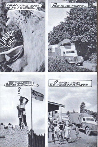 Borboleta.do.amor opti