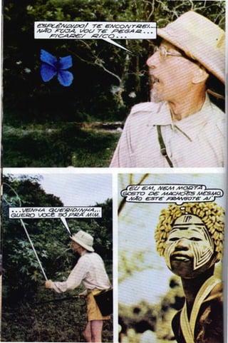 Borboleta.do.amor opti