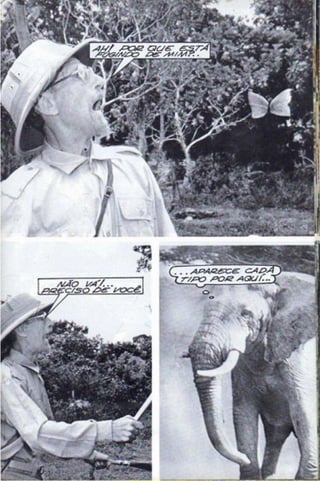 Borboleta.do.amor opti