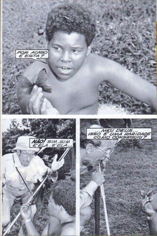 Borboleta.do.amor opti