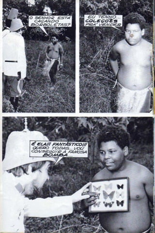 Borboleta.do.amor opti