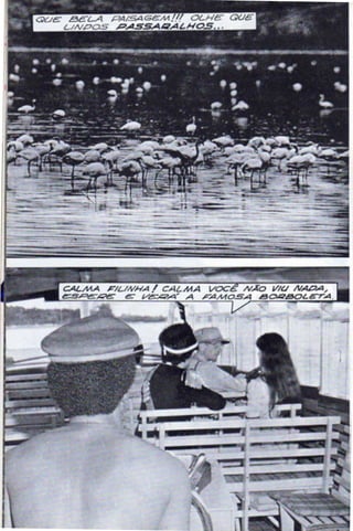 Borboleta.do.amor opti