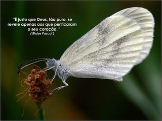"É justo que Deus, tão puro, se revele apenas aos que purificaram  o seu coração. " ( Blaise Pascal )  