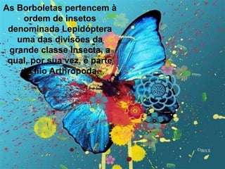 As Borboletas pertencem à
ordem de insetos
denominada Lepidóptera
uma das divisões da
grande classe Insecta, a
qual, por sua vez, é parte
do filo Arthropoda.
 