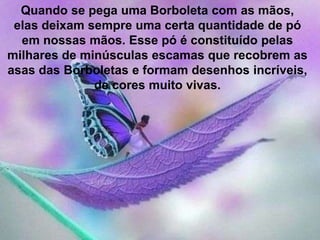 Quando se pega uma Borboleta com as mãos,
elas deixam sempre uma certa quantidade de pó
em nossas mãos. Esse pó é constituído pelas
milhares de minúsculas escamas que recobrem as
asas das Borboletas e formam desenhos incríveis,
de cores muito vivas.
 