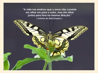 "A vida nos ensinou que o amor não consiste
  em olhar um para o outro, mas sim olhar
    juntos para fora na mesma direção."
          ( Antoine de Saint Exupéry )
 
