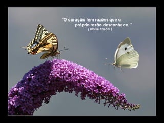 "O coração tem razões que a
      própria razão desconhece. "
            ( Blaise Pascal )
 