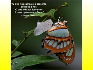 "O que nós somos é o presente
de Deus a nós.
O que nós nos tornamos
é nosso presente a Deus."
( Eleanor Powell )

 