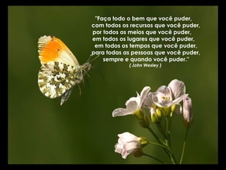 "Faça todo o bem que você puder,
com todos os recursos que você puder,
por todos os meios que você puder,
em todos os lugares que você puder,
em todos os tempos que você puder,
para todas as pessoas que você puder,
sempre e quando você puder."
( John Wesley )

 