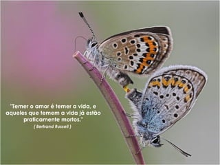 "Temer o amor é temer a vida, e
aqueles que temem a vida já estão
praticamente mortos."
( Bertrand Russell )

 