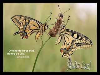 "O reino de Deus está
dentro de vós."
(Jesus Cristo)

 