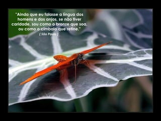 "Ainda que eu falasse a língua dos
homens e dos anjos, se não tiver
caridade, sou como o bronze que soa,
ou como o címbalo que retine."
( São Paulo )
 