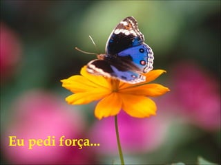 Eu pedi força... 