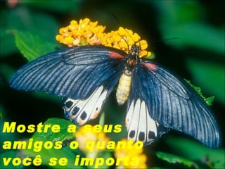 Mostre a seus amigos o quanto você se importa com eles. 