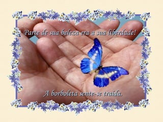 Parte de sua beleza era a sua liberdade!




       A borboleta sente-se traída.
 