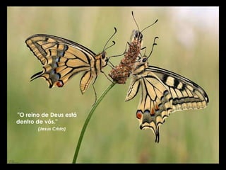 "O reino de Deus está dentro de vós."  (Jesus Cristo) 