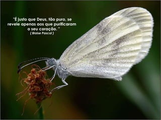 "É justo que Deus, tão puro, se revele apenas aos que purificaram  o seu coração. " ( Blaise Pascal )  