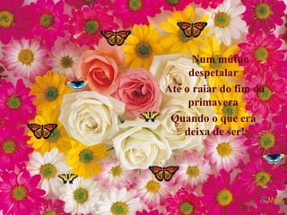 Num mútuo
despetalar
Até o raiar do fim da
primavera
Quando o que era
deixa de ser!