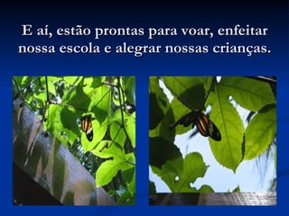 E aí, estão prontas para voar, enfeitar nossa escola e alegrar nossas crianças. 