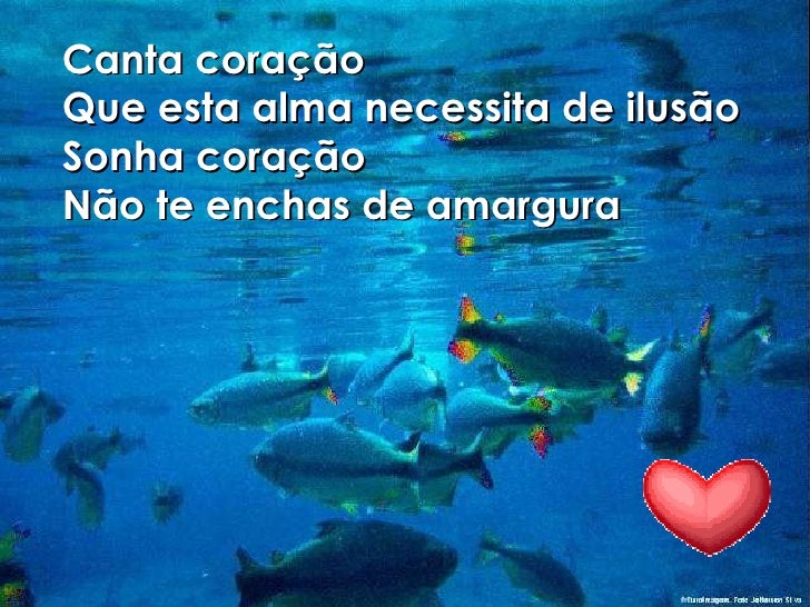 Queria Ser Um Peixe E Mergulhar No Seu Aquário