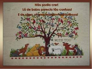 Não podia crer! Lá de baixo parecia tão confuso! E de cima, vi uma imagem maravilhosa! 