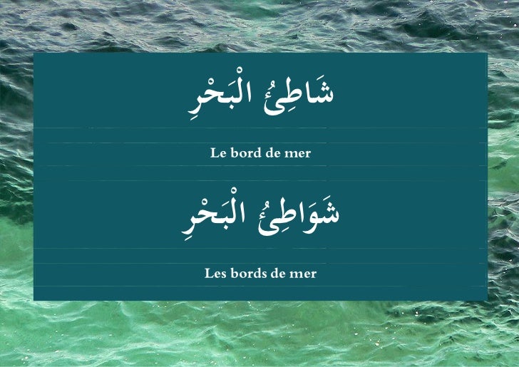 bord de mer en 5 lettres