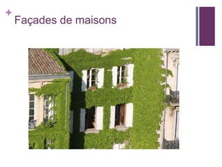 Façades de maisons