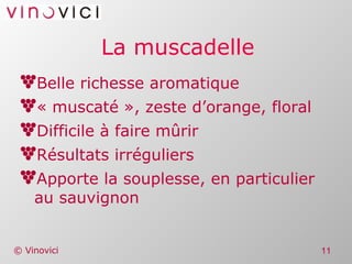 La muscadelle Belle richesse aromatique « muscaté », zeste d’orange, floral Difficile à faire mûrir Résultats irréguliers Apporte la souplesse, en particulier au sauvignon 