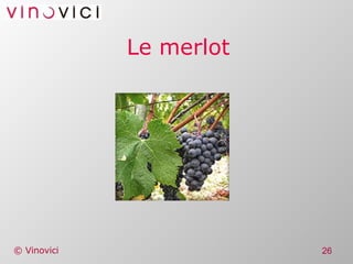 Le merlot 