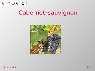 Cabernet-sauvignon 