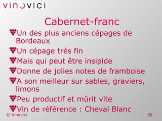 Cabernet-franc Un des plus anciens cépages de Bordeaux Un cépage très fin Mais qui peut être insipide Donne de jolies notes de framboise A son meilleur sur sables, graviers, limons Peu productif et mûrit vite Vin de référence : Cheval Blanc 
