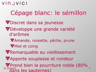 Cépage blanc: le sémillon Discret dans sa jeunesse Développe une grande variété d’arômes Amande, noisette, pêche, prune Miel et coing Remarquable au vieillissement Apporte souplesse et rondeur Prend bien la pourriture noble (80% dans les sauternes) 