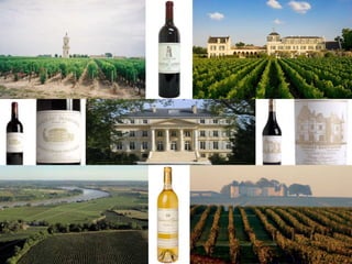 Bordeaux