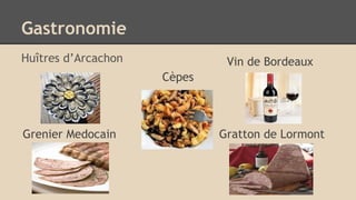 Gastronomie
Huîtres d’Arcachon Vin de Bordeaux
Grenier Medocain Gratton de Lormont
Cèpes
 